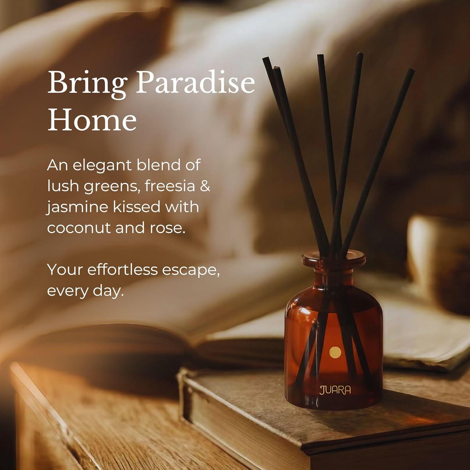 image:imageJUARA Candlenut Reed Diffuser Set 90ml Indonesian Home Fragrance with Natural Reed Sticks LongLasting Room Scent for Living Room Bedroom amp Bathroom 3 oz